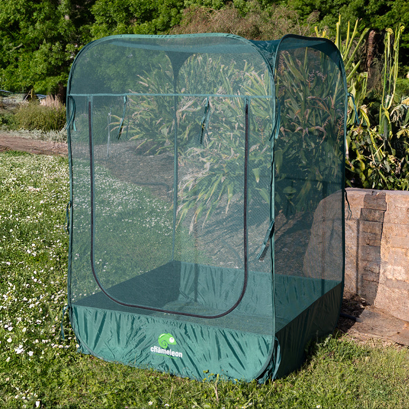 Load image into Gallery viewer, Pop-up Chameleon 1850H