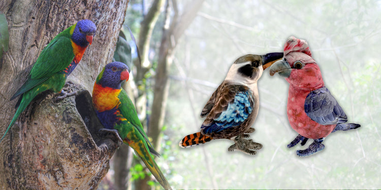 Bird Plushies
