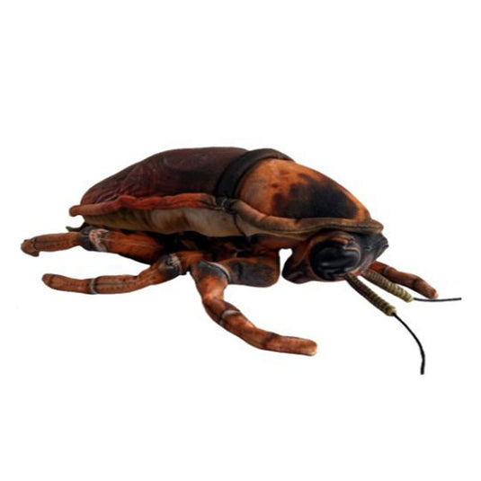 Cockroach Plushie