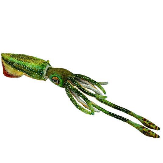 Cuttlefish Plushie
