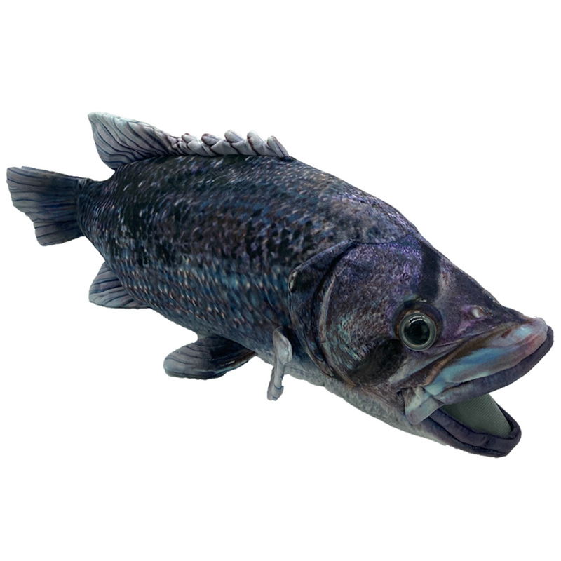 Load image into Gallery viewer, Dhufish Plushie
