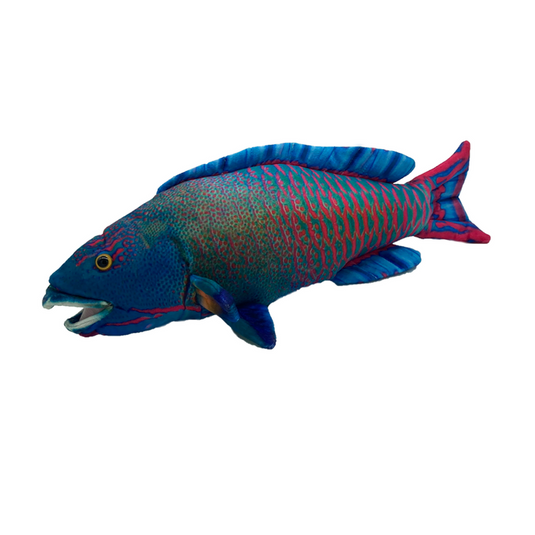 Parrot Fish Plushie