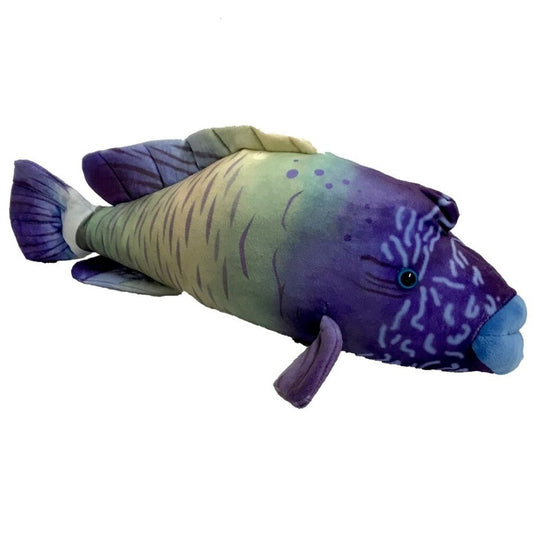 Wrasse Fish Plushie