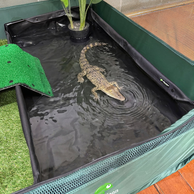 Load image into Gallery viewer, Pop-up Pond (PUCPOND50)
