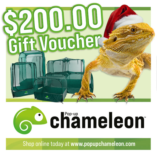 Pop-up Chameleon Gift Card