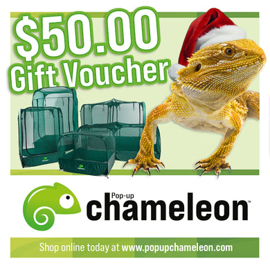 Pop-up Chameleon Gift Card