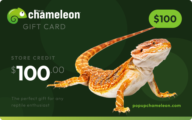 Load image into Gallery viewer, Pop-up Chameleon Gift Card

