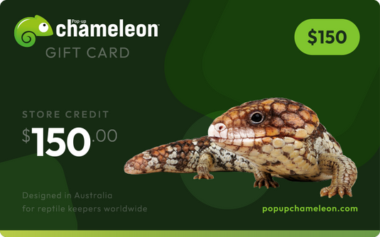 Pop-up Chameleon Gift Card