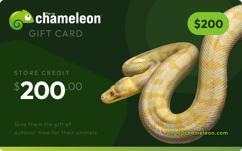 Load image into Gallery viewer, Pop-up Chameleon Gift Card
