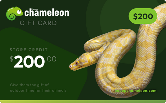 Pop-up Chameleon Gift Card