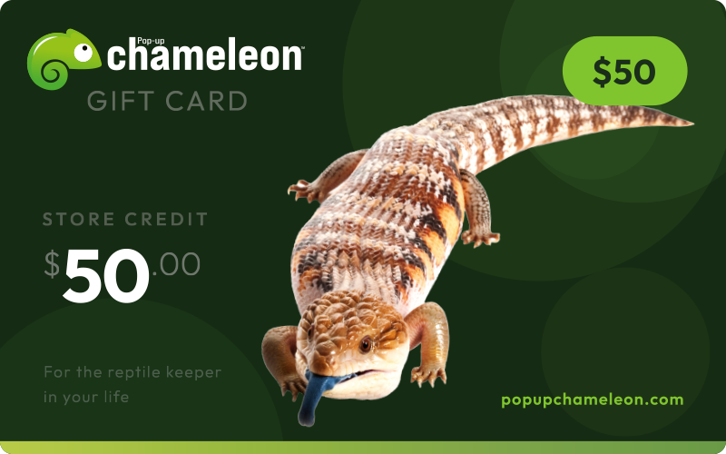 Load image into Gallery viewer, Pop-up Chameleon Gift Card

