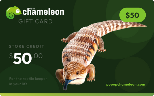 Pop-up Chameleon Gift Card