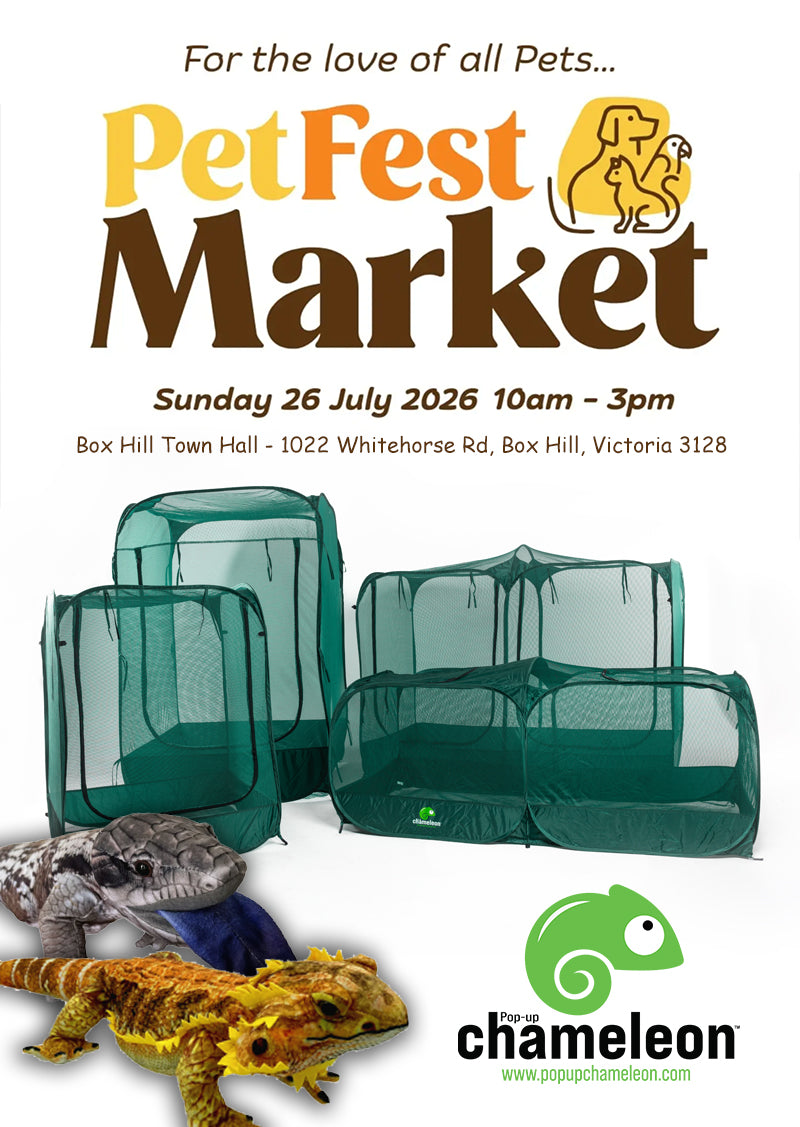 Lake Macquarie Reptile Expo