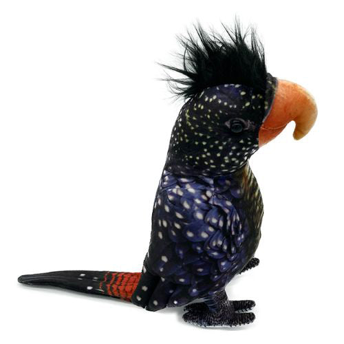 Black Cockatoo Plushie