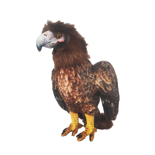 Wedge-tailed Eagle Plushie