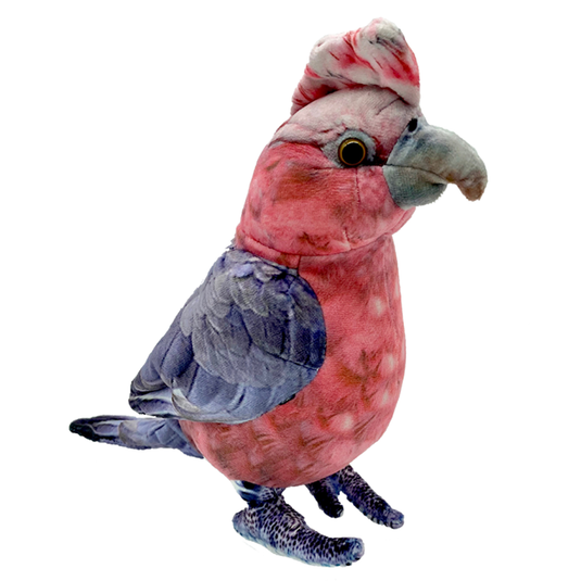 Galah Plushie
