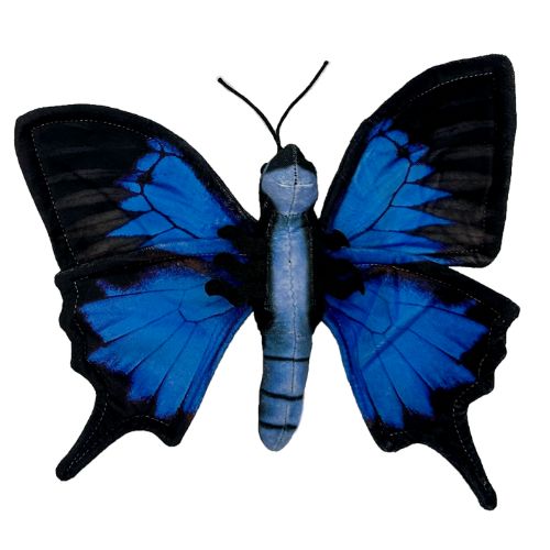 Load image into Gallery viewer, Ulysses Butterfly plushie – alternate view
