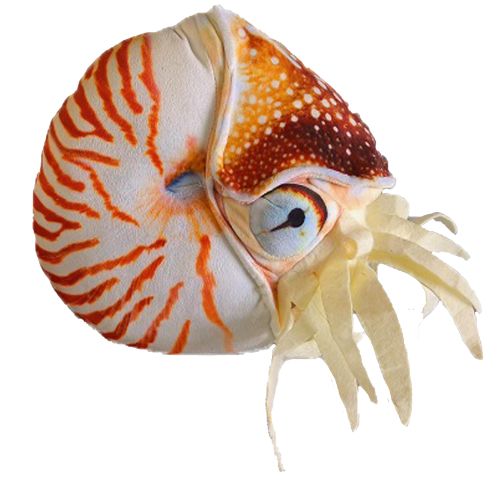 Nautilus Plushie