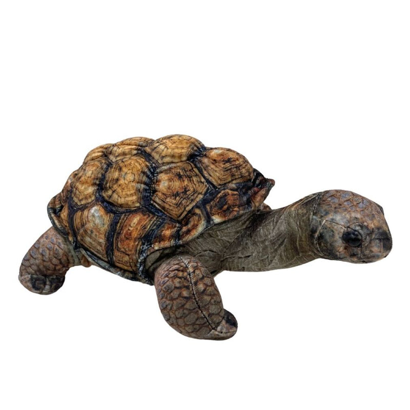 Load image into Gallery viewer, Galapagos Tortoise Plushie
