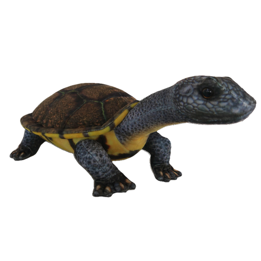 Long-necked Turtle Plushie